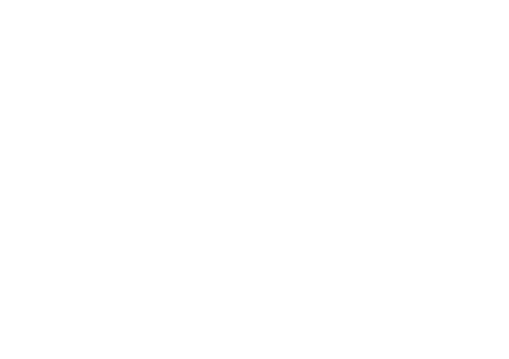 Logo FBIS